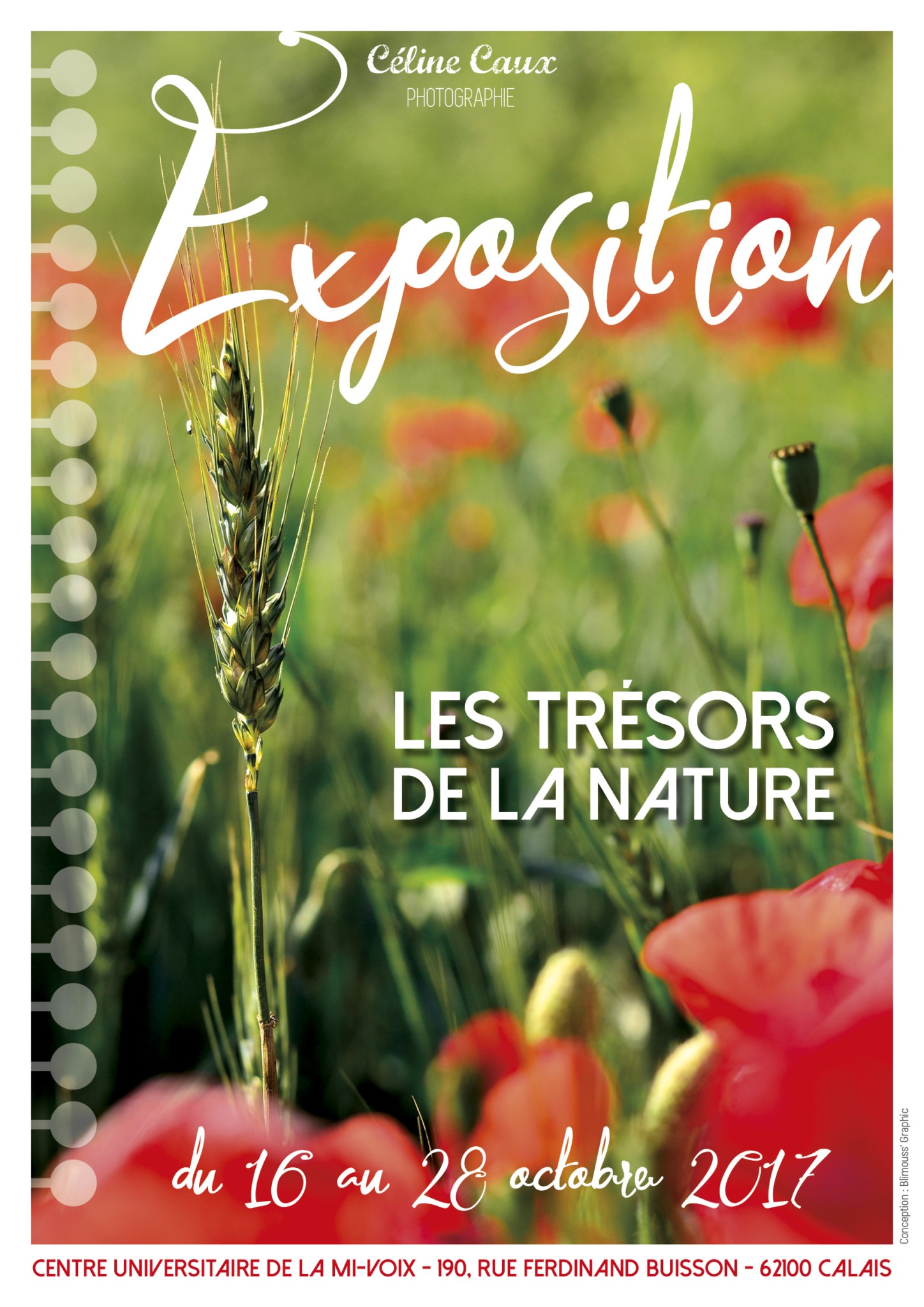 [Calais] Les trésors de la nature en quelques photos