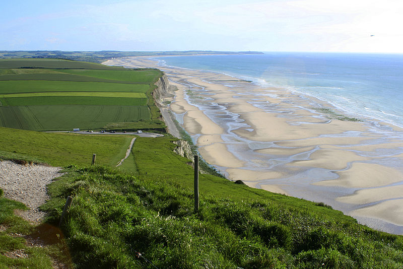 Conférence-débat en ligne sur la biodiversité sous pression