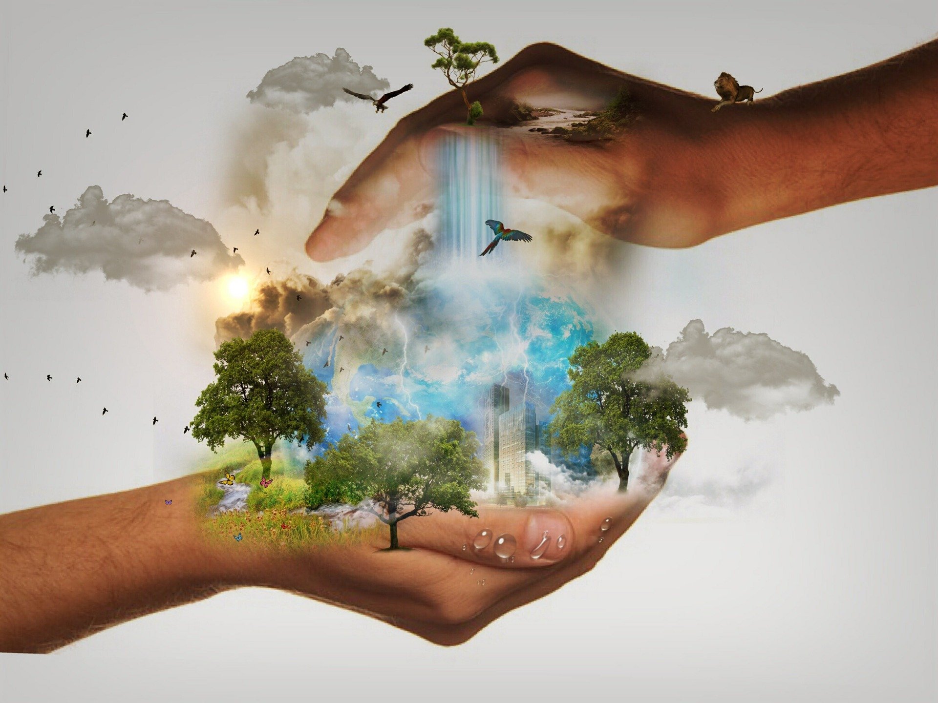 Le projet de loi « Climat et Résilience »
