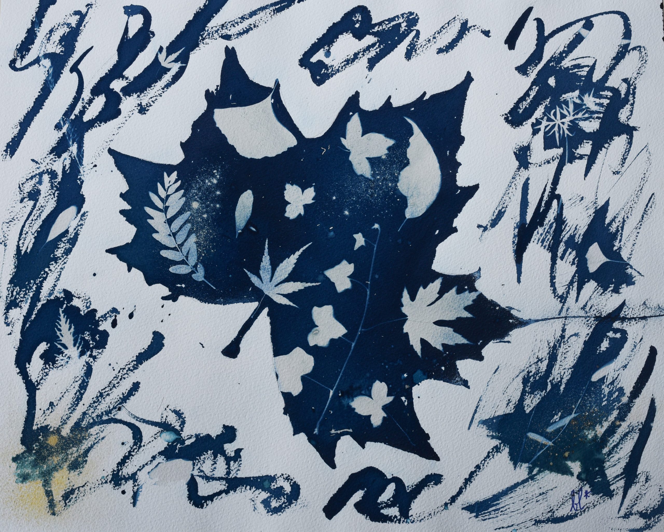 Naturalis Causa – Cyanotypes