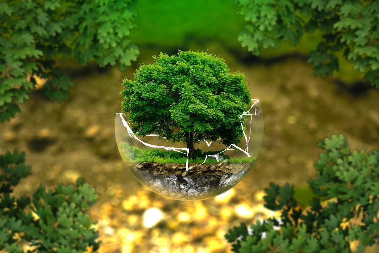 Économie et Transition écologique